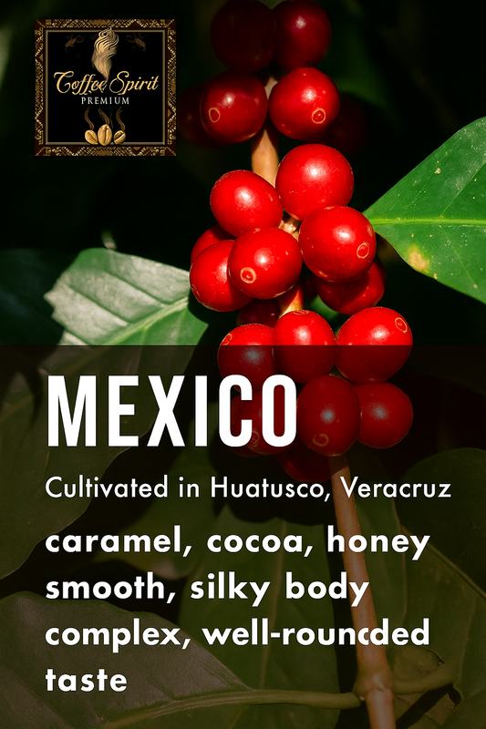 Mexîco Finca Monte Azul - Single Origin Specialty Arabica