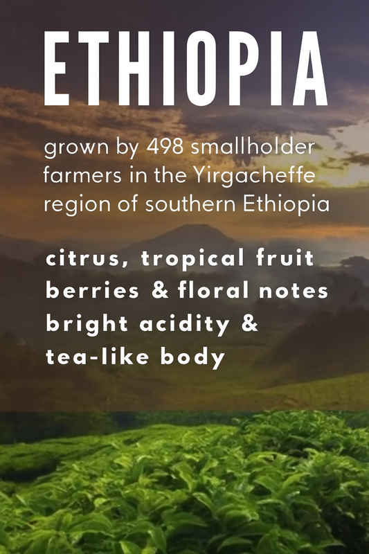 Ethiopian Yirgacheffe G2 - Single Origin Specialty Arabica