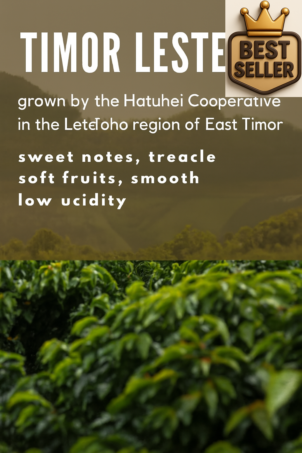 Timor Leste Hatuhei - Single Origin Specialty Arabica