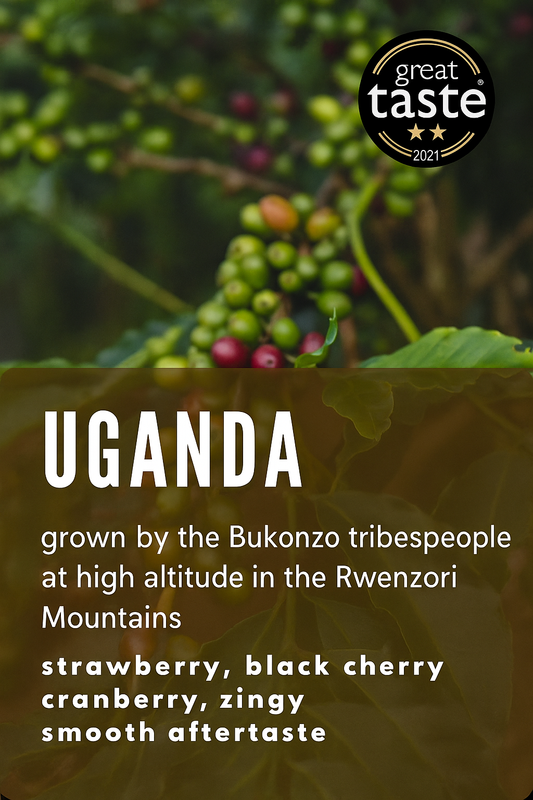 Uganda Bukonzo Dream – Single Origin Specialty Arabica