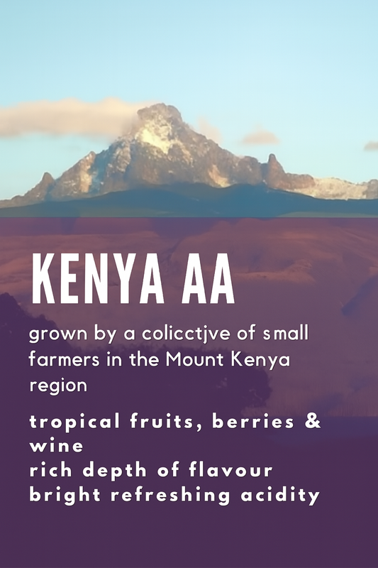 Kenyan Kangema’s Finest - Single Origin Specialty Arabica